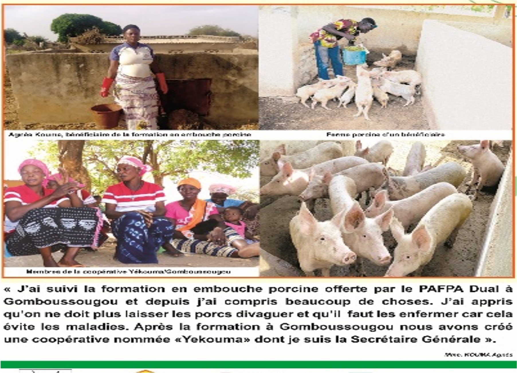 PAFPA 4
